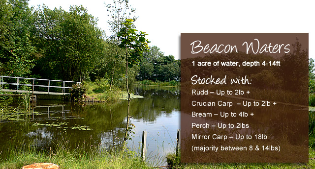 Beacon Waters